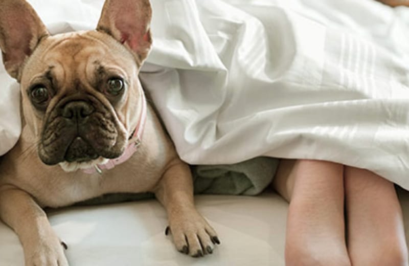 Are You Keeping Up with Your New Years Resolutions